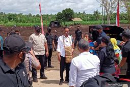Jokowi encourages quality improvement of West Papua’s young farmers