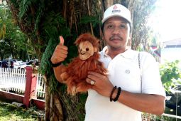 Over 23,000 orangutans living in Central Kalimantan forests: BKSDA