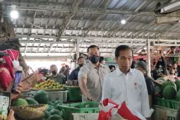 City-, district-level BLT BBM disbursal to commence next week: Jokowi