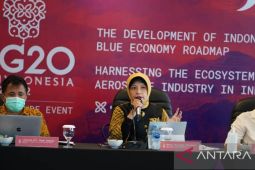 Indonesia, G20 member countries to ink MoU on aerospace