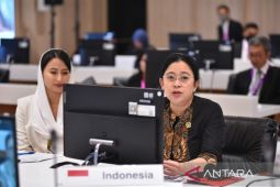 Need greater women’s participation in political decision-making: DPR