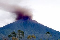Mount Kerinci spews ash, TNKS closes climbing routes temporarily