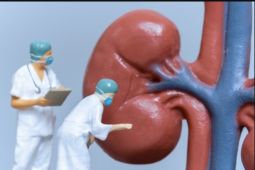IDAI probing factors behind rapidly progressive acute kidney disorder