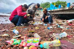 Need to expand waste transportation service to prevent littering: BRIN
