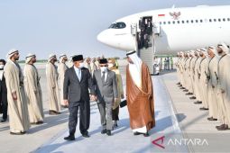 VP Amin lands in Abu Dhabi