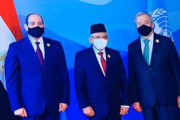 VP Amin attends COP-27 opening ceremony