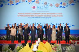 Widodo asks ASEAN to remain vigilant against wave of crisis