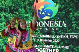 Pertamina turns to nature-based solutions to balance climate, energy