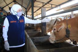 East Java bolsters preventive measures against viral cattle disease