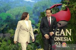 Disturbances in Southeast Asia could disrupt global economy: Jokowi