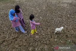 Climate change can affect children’s basic rights: Observer