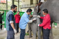 Govt expands wildlife conservation cooperation with India’s Vantara